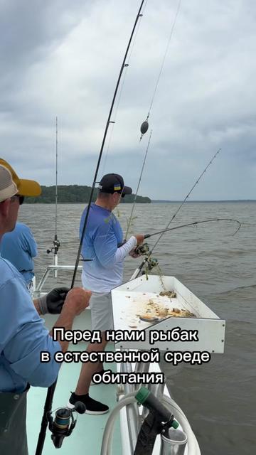 @vokrugshtatov_