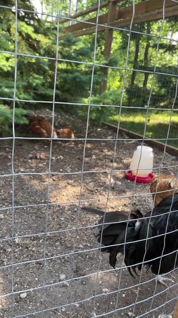 @The Fisher Farm 🇨🇦