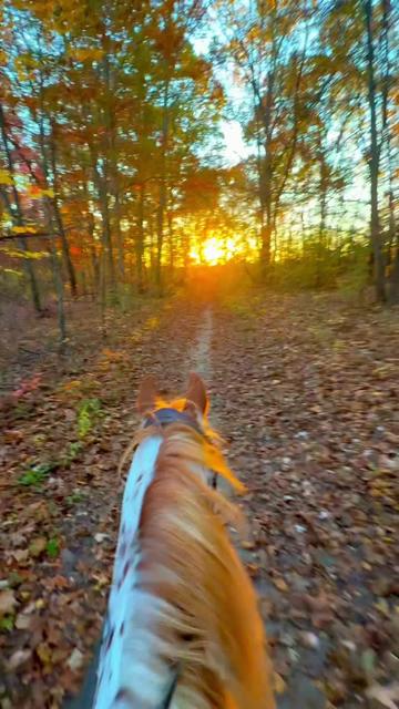 @Free Spirit Equestrian