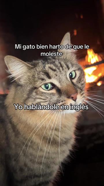 @Melaniie._.Anahí