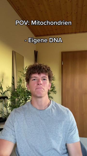 @maxenglisch
