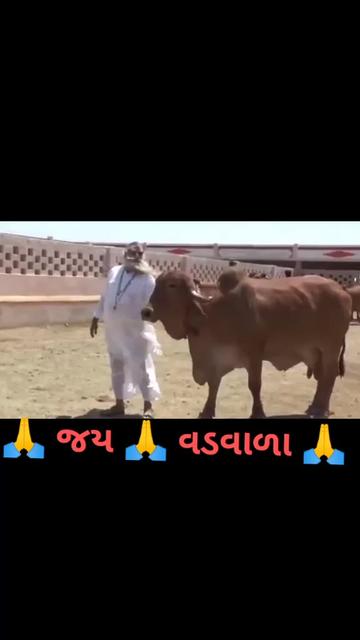 @Mr. Rajesh