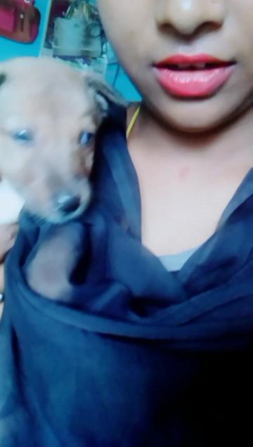 @Shalini Neha