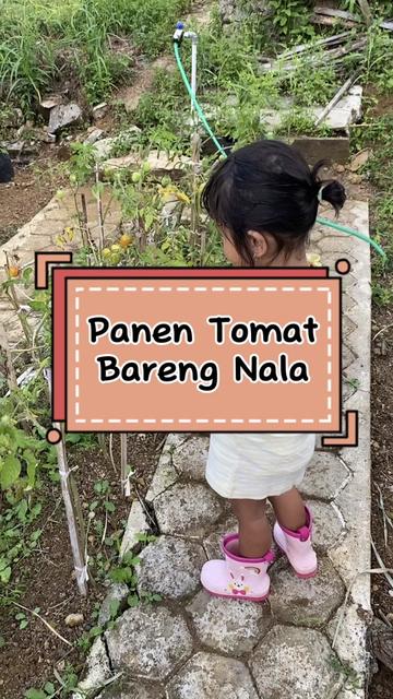 @Felisitas devinta tania