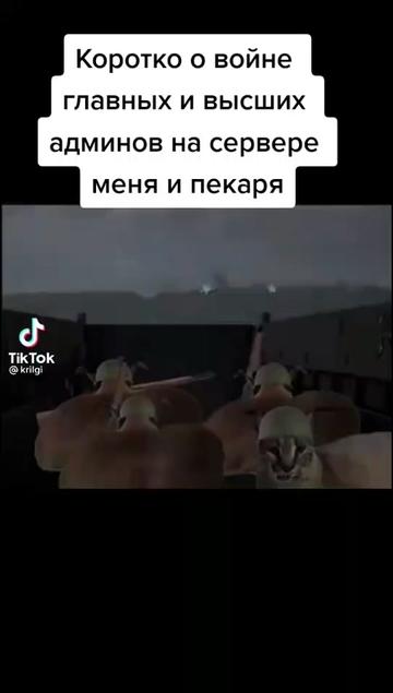 @Cho