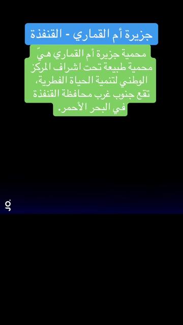 @القنفذة نت