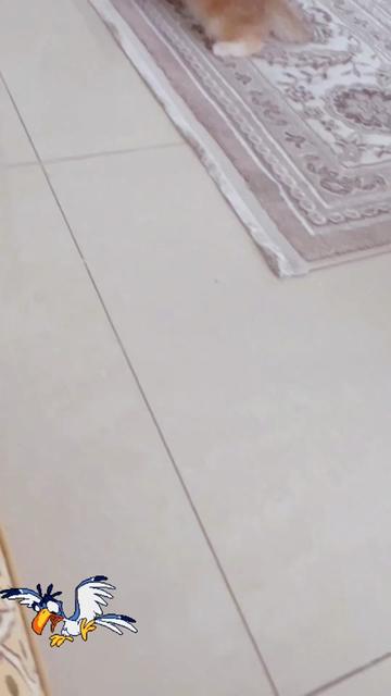 @هاملت