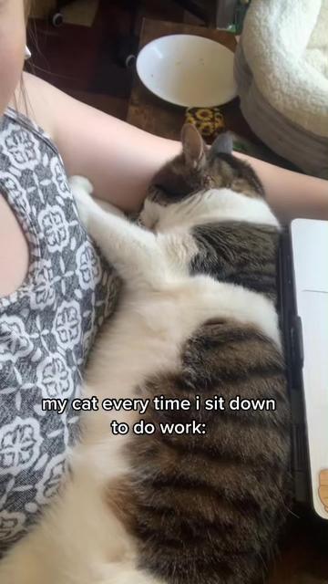 @Li