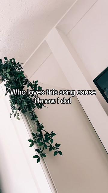@sksvibezzz