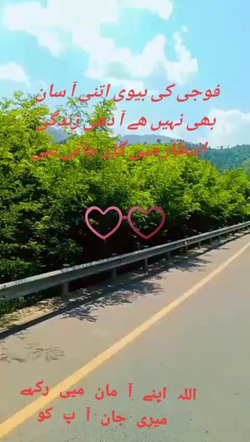 @jani jani