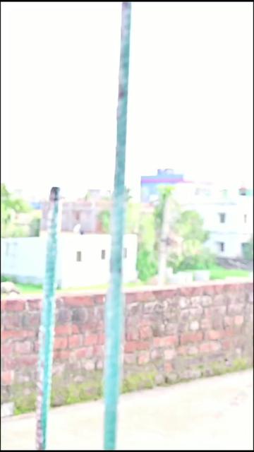 @ROY BHAI