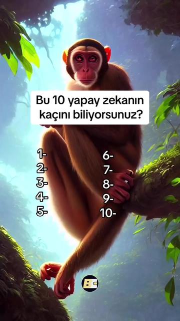 @Bağımsız C&uuml;zdan