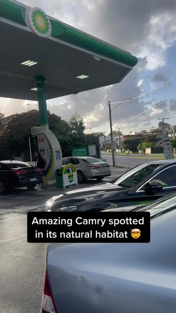 @Basic Car Spotting
