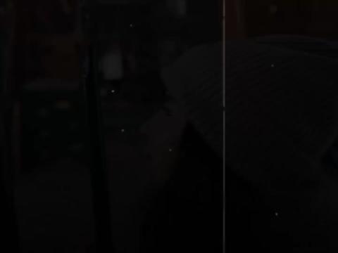 @papisvaqw