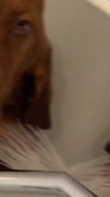 @FaunaFanatics