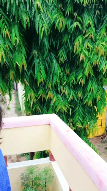 @Shraddha Dwivedi