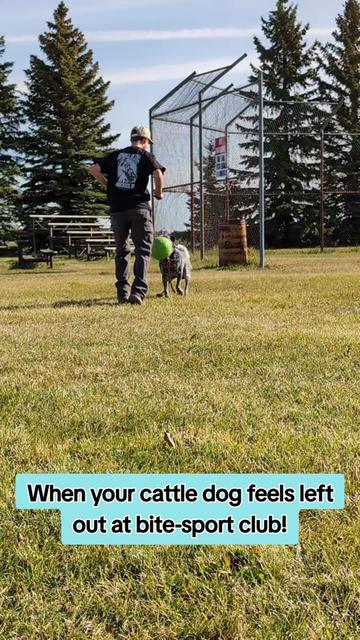 @Kavik.K9