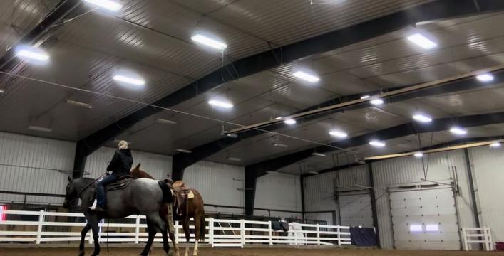 @Sky High Horsemanship LLC