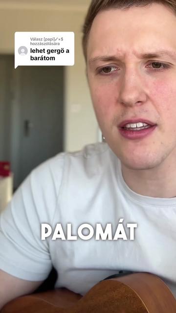 @Pál Péter