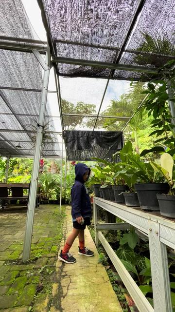 @Kang Ngopi