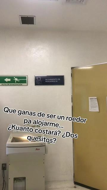 @Alex AlcántaraKuir Biotech