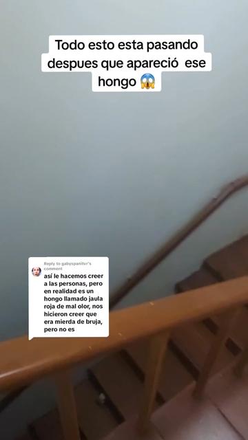 @Reliquia Dominicana