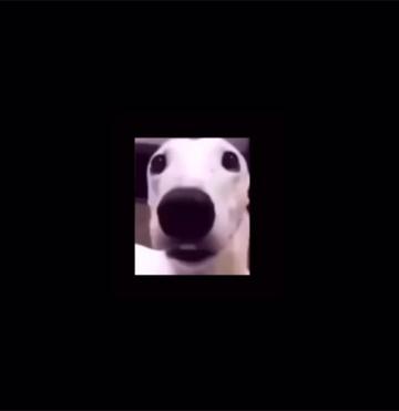 @Tt (^_^)