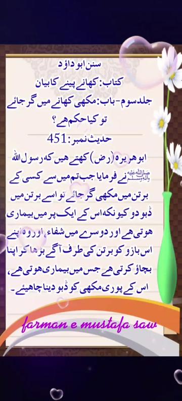 @Max Info