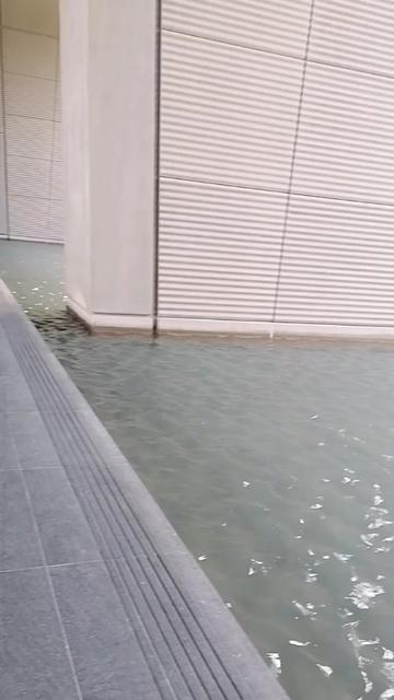 @Jinny Jinja