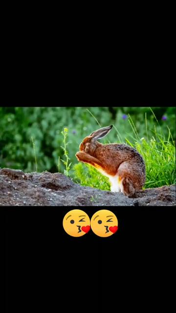 @Madhav bethampudi