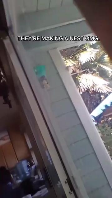@AnonymousAlienThingz