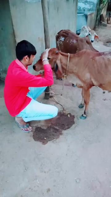 @Siku_Jogi_😎