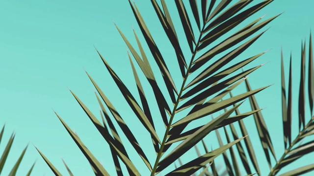 @VibingLyrics