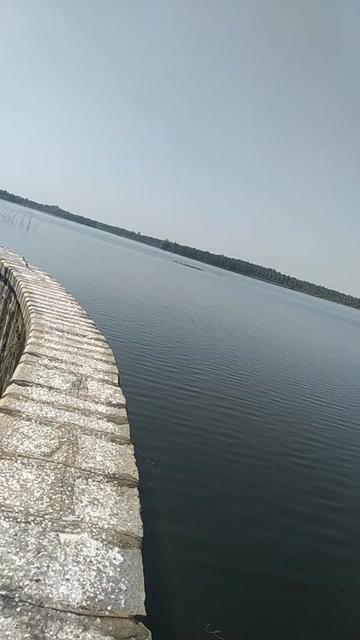@ರೋಸ್ಮೇರಿ ಎನ್ ಎಸ್ 🌹