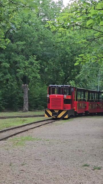 @Debrecen csod&aacute;i