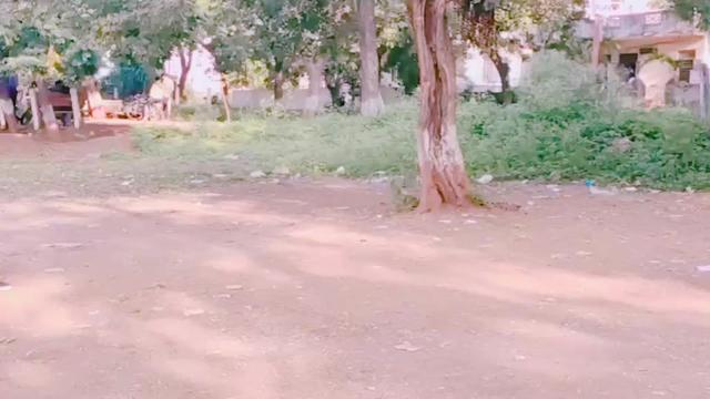 @Harsh jain