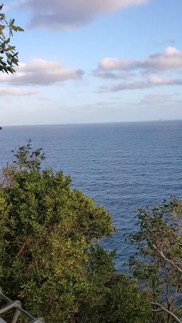 @travelbug