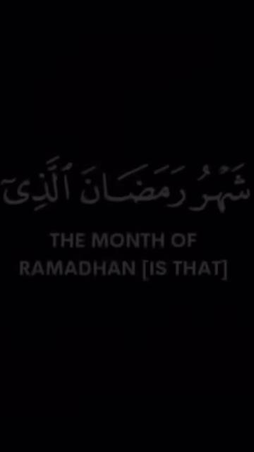 @Rajpoot Ali
