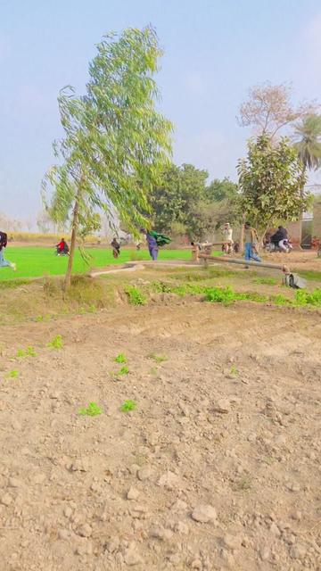 @Mahar Ajmal jutta