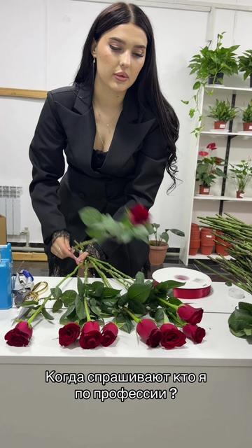 @Katosiik