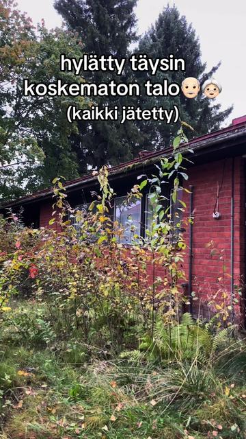 @homeinen_sammutin