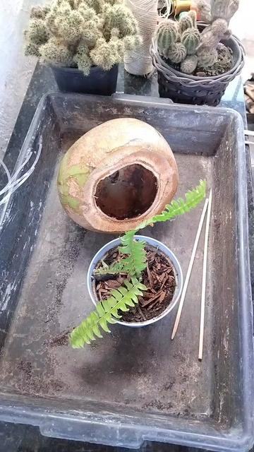 @EcoaBio - Educa&ccedil;&atilde;o Ambiental