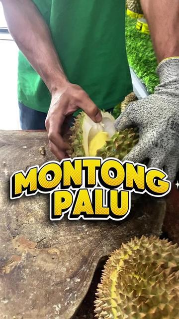 @CICIP DURIAN