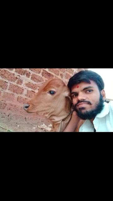 @user8642210878031