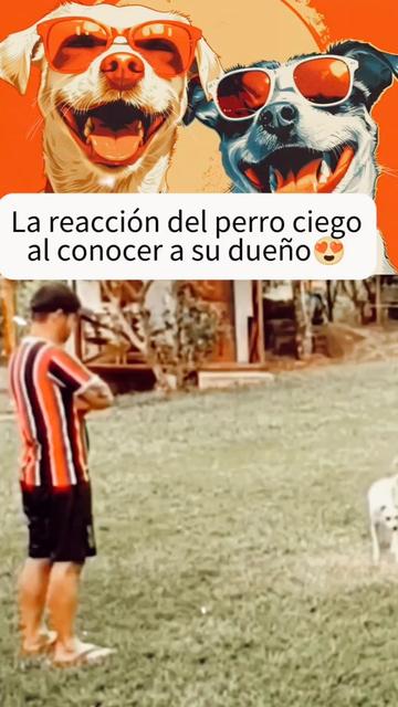 @AventurasAnimales