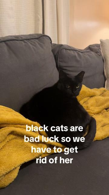 @emily o