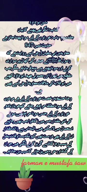 @Max Info