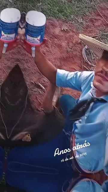 @BENEVIDES🤠🍃