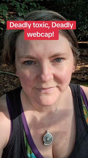 @Wild_About_the_Woods
