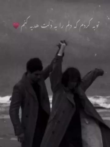 @S Hashimi791
